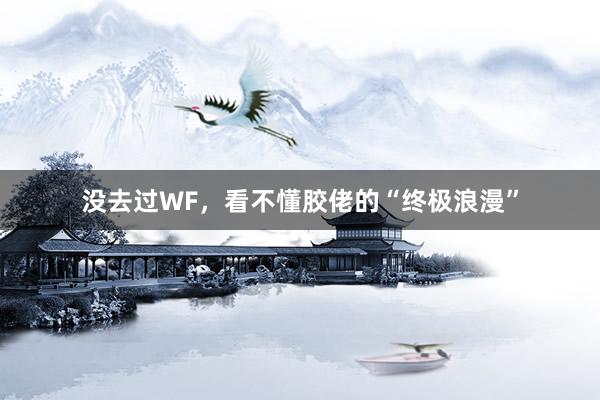 没去过WF，看不懂胶佬的“终极浪漫”