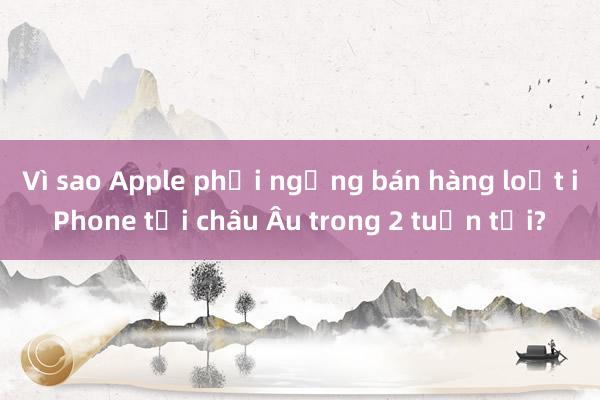 Vì sao Apple phải ngừng bán hàng loạt iPhone tại châu Âu trong 2 tuần tới?