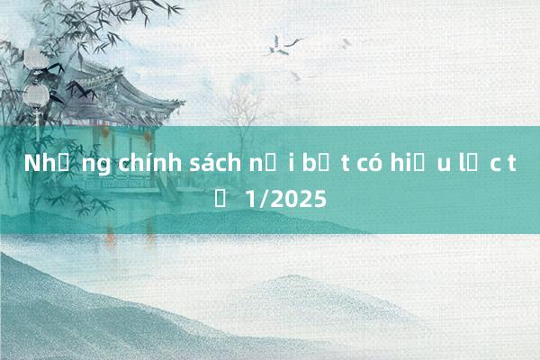 Những chính sách nổi bật có hiệu lực từ 1/2025