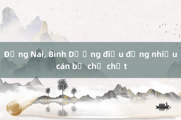 Đồng Nai， Bình Dương điều động nhiều cán bộ chủ chốt